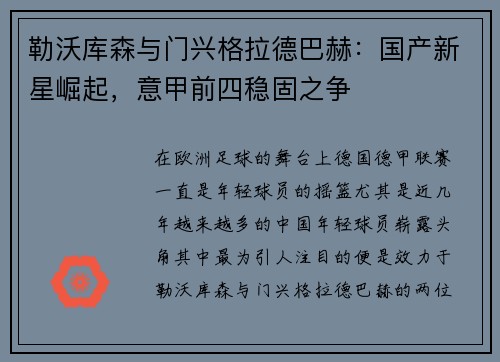 勒沃库森与门兴格拉德巴赫：国产新星崛起，意甲前四稳固之争